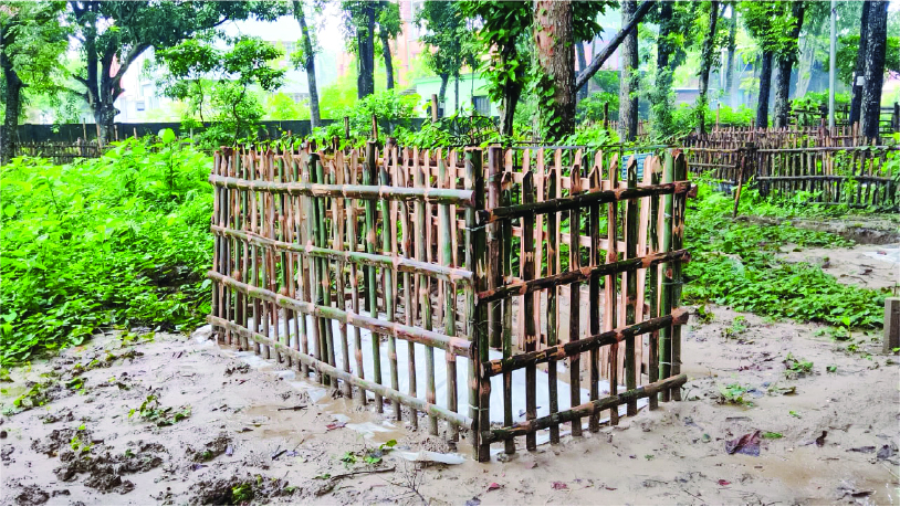 Image of মো: হাফিজ উদ্দীন